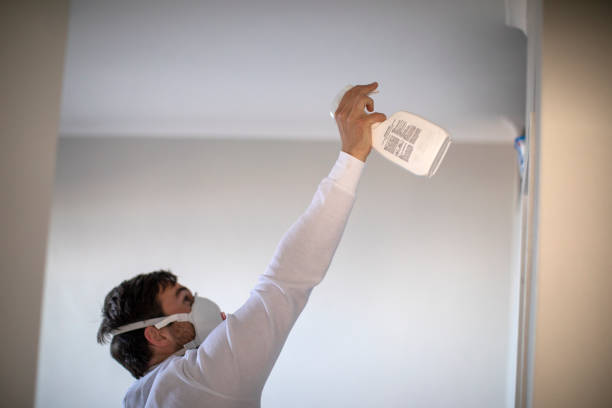 Best Black Mold Removal  in Ancient Oaks, PA