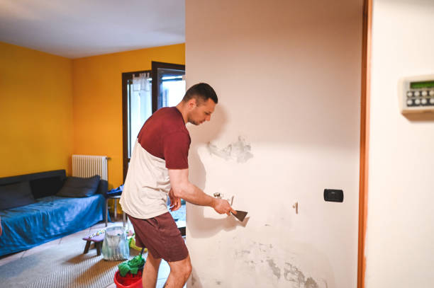 Best Mold Damage Repair  in Ancient Oaks, PA